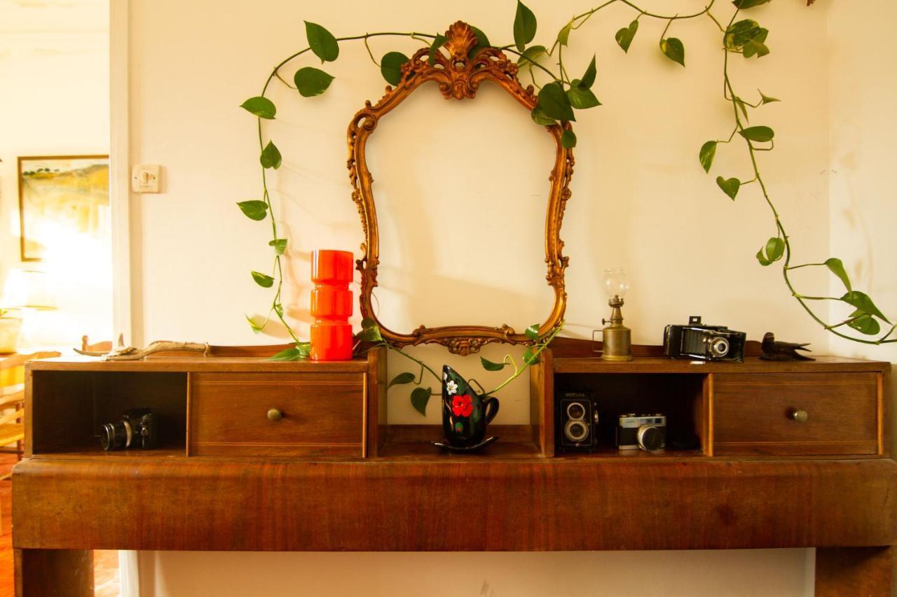 Jolie Chambre Dans Appartement Cosy En Plein Centre Marsilya Dış mekan fotoğraf